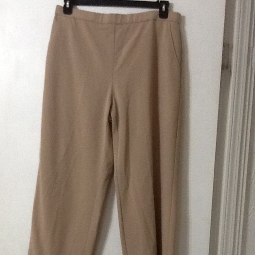 Sag Harbor Tan Women's Size 14 Stretch Career Pants